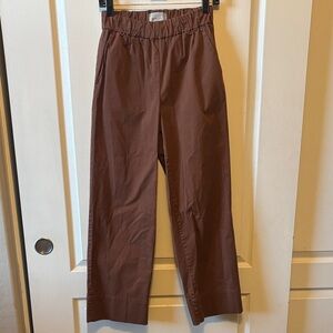 Everlane Dark Brown Organic Cotton Pants